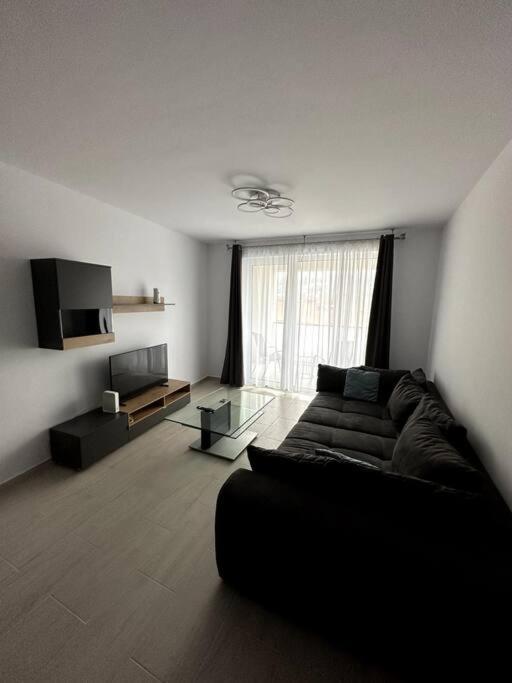 Central River Apartment Κλουζ-Ναπόκα Εξωτερικό φωτογραφία
