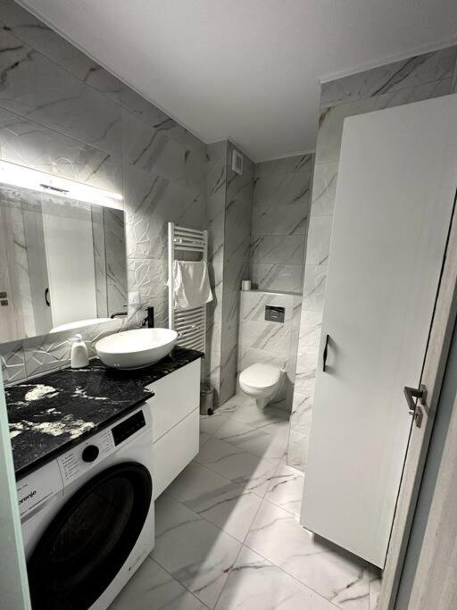 Central River Apartment Κλουζ-Ναπόκα Εξωτερικό φωτογραφία