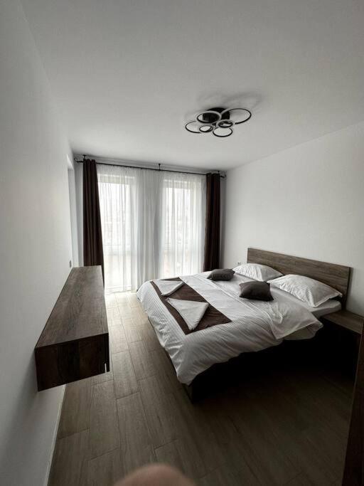 Central River Apartment Κλουζ-Ναπόκα Εξωτερικό φωτογραφία
