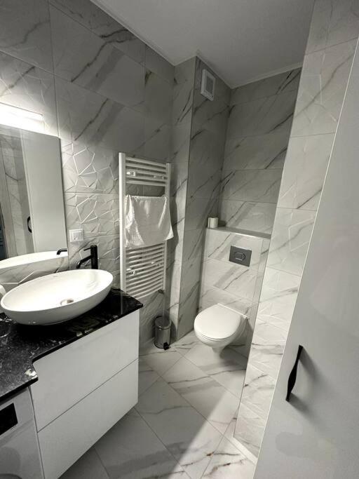 Central River Apartment Κλουζ-Ναπόκα Εξωτερικό φωτογραφία